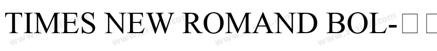 TIMES NEW ROMAND BOL字体转换